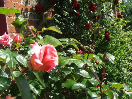 Zouch Farm Bed & Breakfast