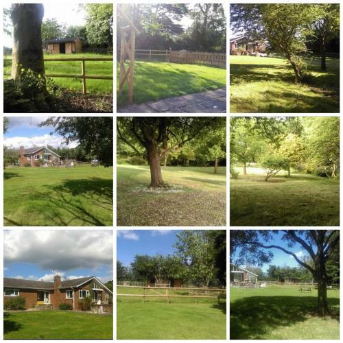 Bed & Breakfast Hedgehog Lodge Solitary Retreat