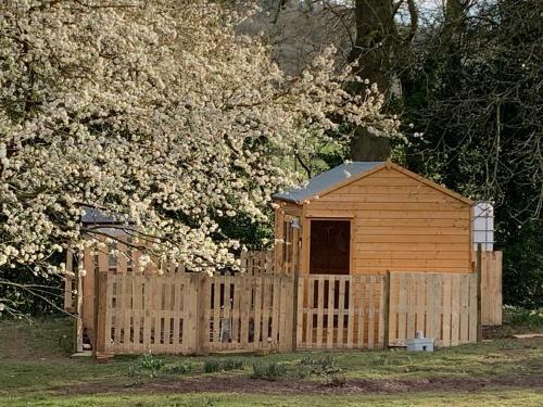 Bed & Breakfast Hedgehog Lodge Solitary Retreat
