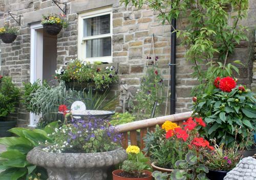Hidden Gem Apartment In Sleepy Durham Village.