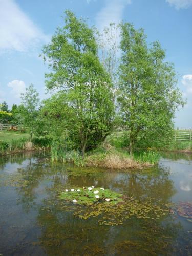Hall Farm Bed & Breakfast