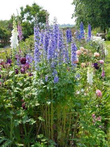 Hall Farm Bed & Breakfast