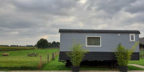 B&B Wijd En Zijt Pipowagen