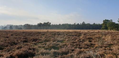 B&B Helene Hoeve