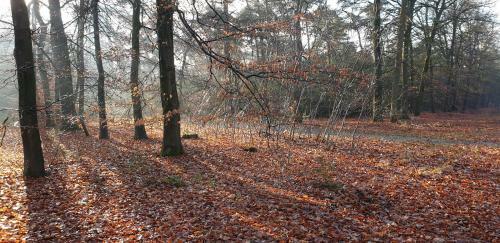 B&B Helene Hoeve