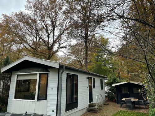 Bos Chalet Vledder Fredriksoord