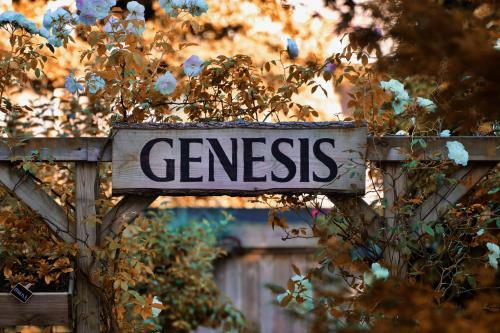 Bed & Breakfast Genesis Voorschoten