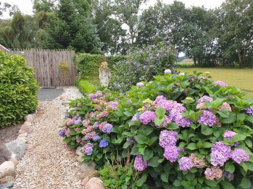 Bed & Breakfast Westert Hoeve