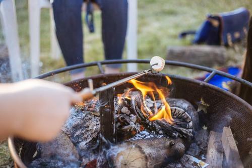 Bed & Breakfast Glamping Erve Hasselo