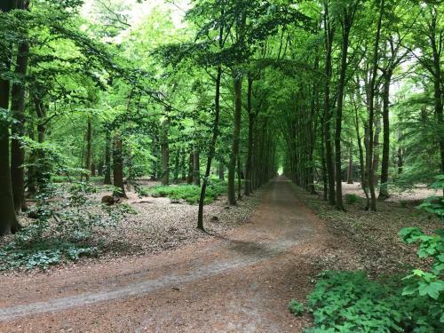 B&B 'het Gripshuis'