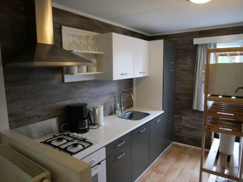 Chalet Lizzy