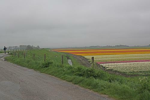 Hotelhuisje Warmenhuizen #e