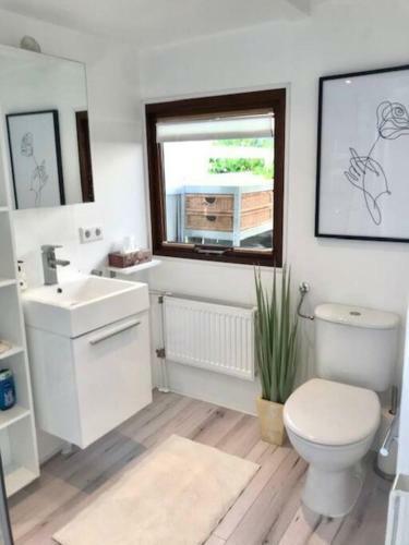 Ferienhaus de Witte Roos Ferienpark Vislust Ijsselmeer