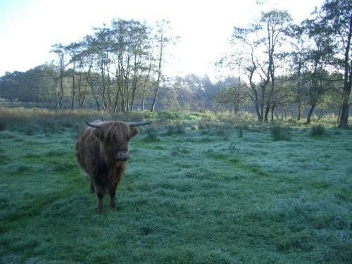 Bed & Breakfast De Wiede Blik