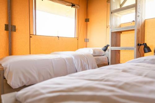 Glamping Lodge Waddenzee