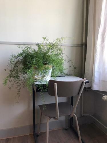 B&B De Hoop