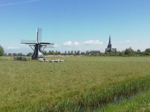B&B De Hoop