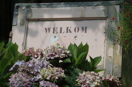Pipowagen Overnachting Het Houten Huis