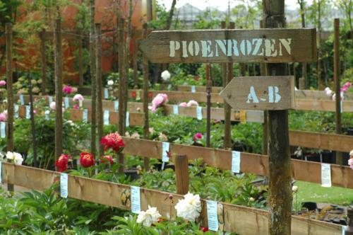 Pipowagen Overnachting Het Houten Huis