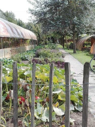 Pipowagen Overnachting Het Houten Huis