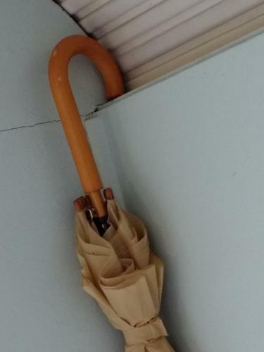 Pipowagen Overnachting Het Houten Huis