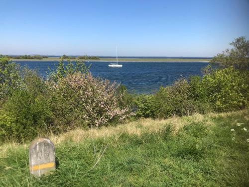 Aparthotel In de Gele Hoed