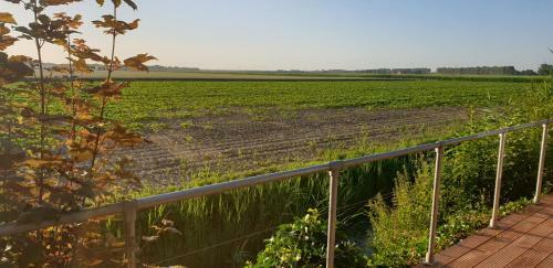 De Hoeksche Loods B&B