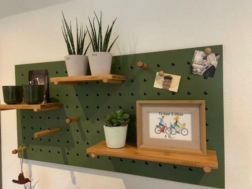 B&B Witvliet, Kamers En Studio Met Heerlijk Ontbijt !