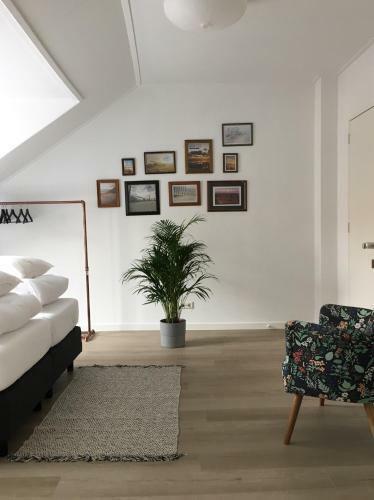 Hostal Kamers Van Goud