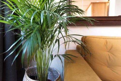 Apartamento Loft At The Beach