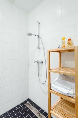 Apartment In Centre Of Zandvoort
