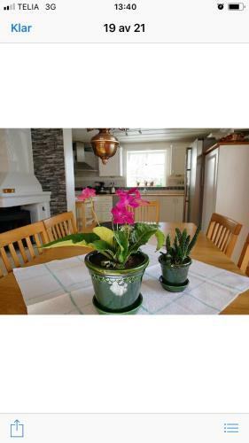 Villa Utanf�r �rnsk�ldsvik, H�ga Kusten
