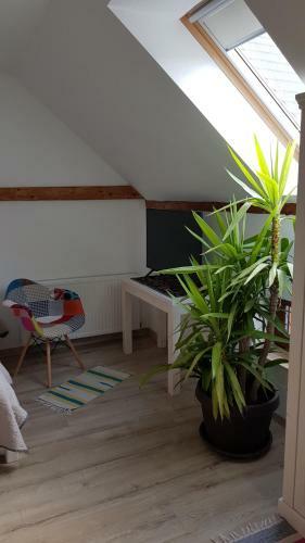 Hostal Otto's Guesthouse