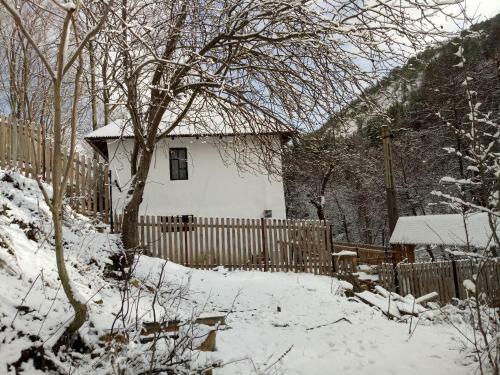 Villa Conacul M?ntescu