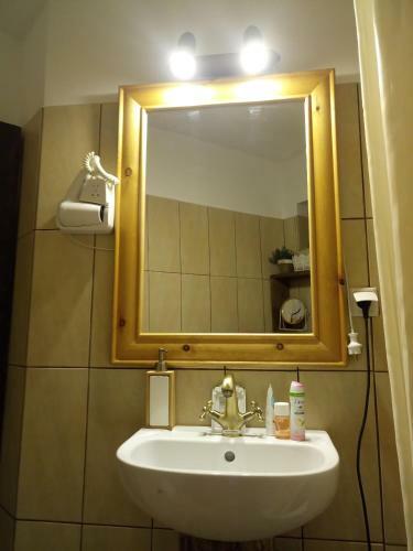 Villa Conacul M?ntescu