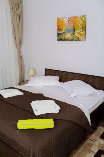 Hostal Pensiunea 2 A-mici