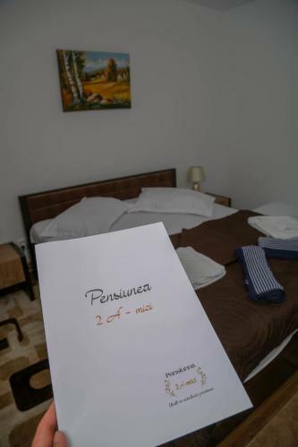 Hostal Pensiunea 2 A-mici