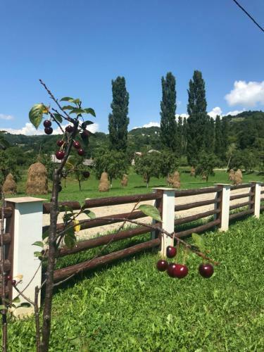 Pensiunea Pe Vale La Moco