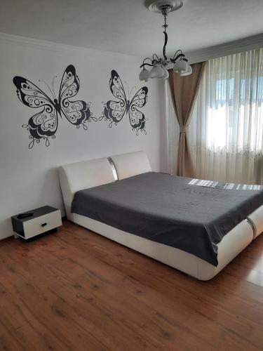 Apartament V�lcea Carrefour Bl 114