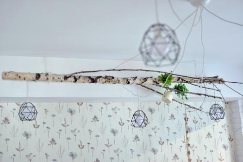 Ritual Apartament