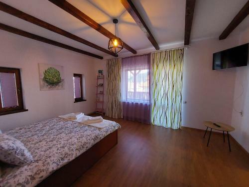 Hostal Pensiunea Vera
