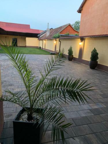 La Mimi Villa