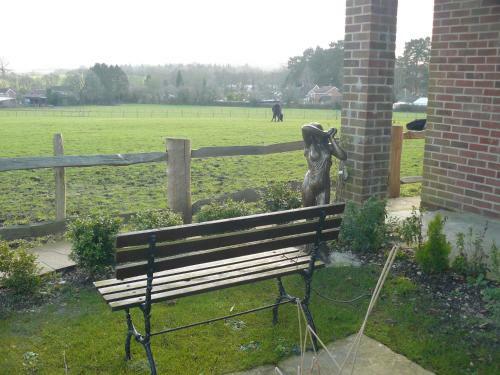 Forest View B&B