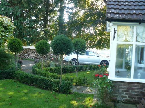 Forest View B&B
