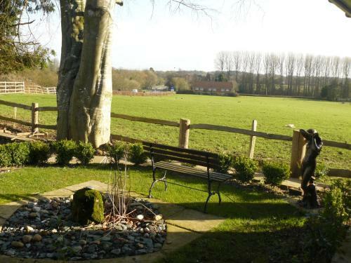 Forest View B&B