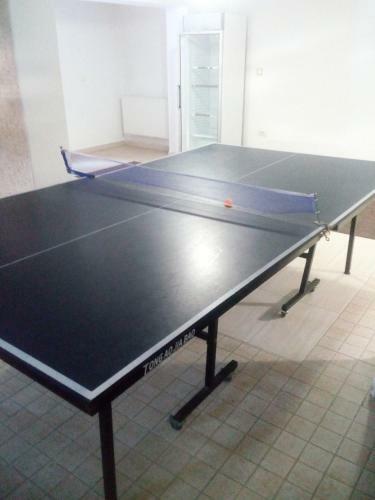 Hostal Vila Visinica