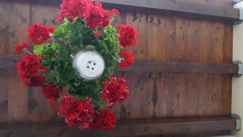 Hostal Pensiunea Medieval