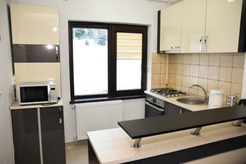 Transylvania Apartment 6