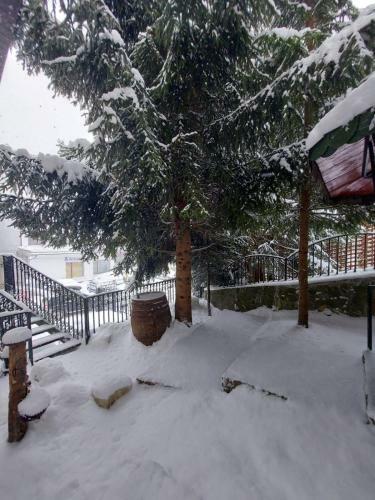 Hostal Vila Mountainview