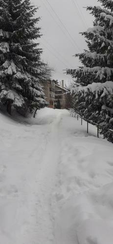 Apartament 2 Cam Predeal